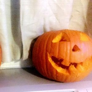 Meet your Posher, Vince